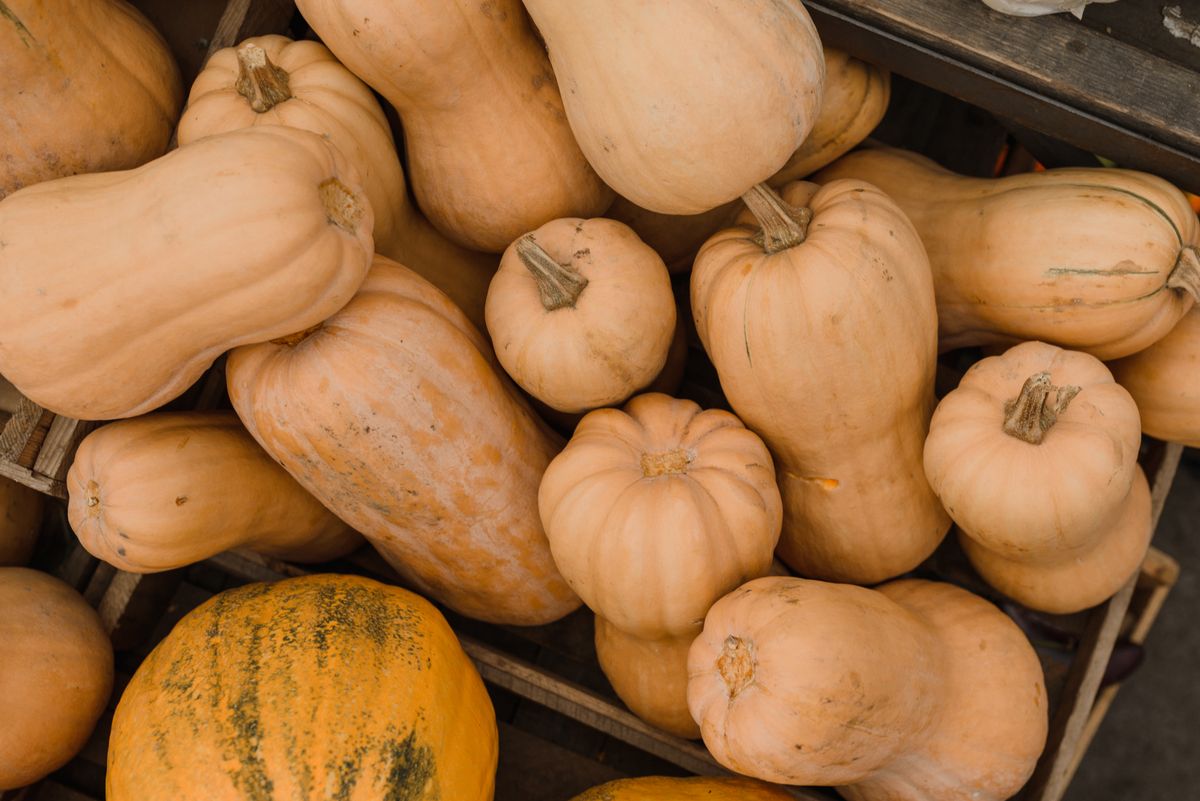 Whole and halved butternut squash